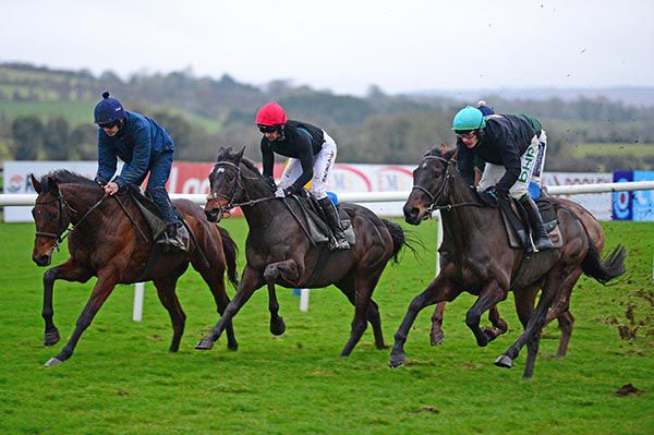 Kemboy (red cap) working with Chacun Pour Soi (left) and Al Boum Photo (right) 