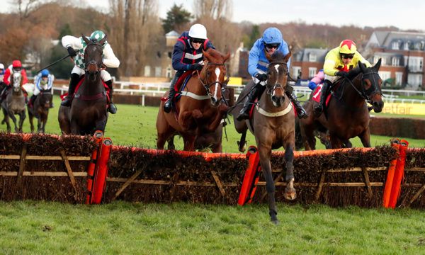 Mack The Man winning at Sandown in December