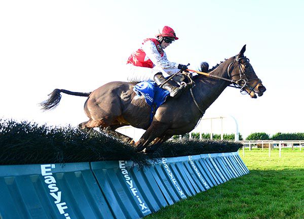 Wolf Prince survived this final flight mistake under Johnny Moore