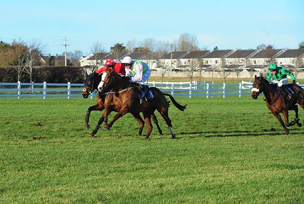 Tiger Tap Tap (white face) - odds-on for the feature at Clonmel this afternoon