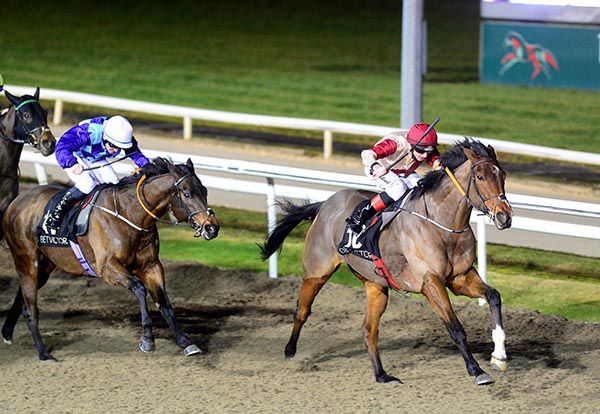 Whatharm (Conor Hoban) beats Fit For Function (Gary Carroll)