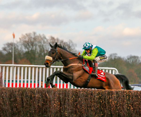Clan Des Obeaux is among those due to run at Newbury 