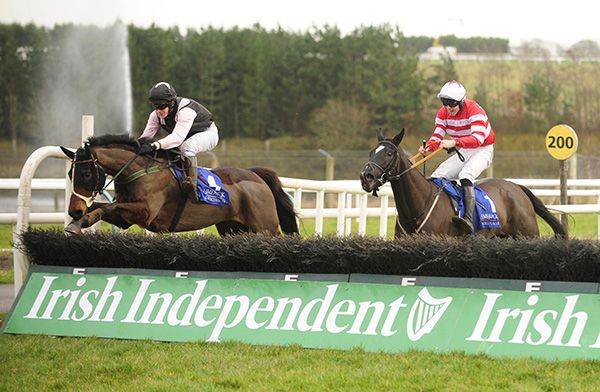 Southerner and William winning over hurdles at Limerick in 2019