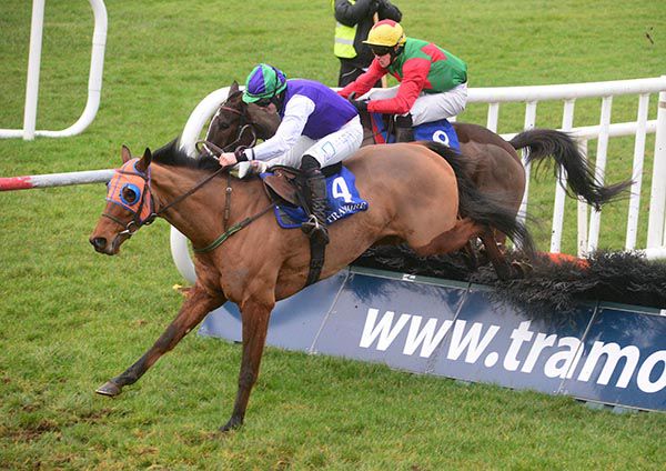 Macho Mover wins under Ryan Treacy