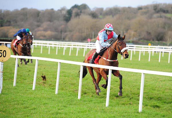 Carrigeen Lotus and Liz Lalor slam The West Awaits (Patrick Mullins) and Sayce Gold (Chris O'Donovan) 