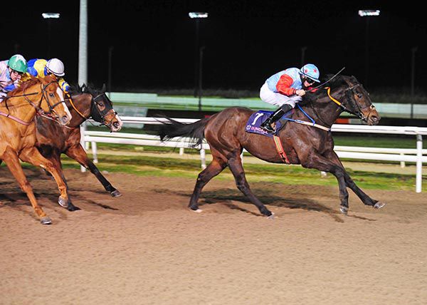      Mulzamm (right) wins under Joe Doyle