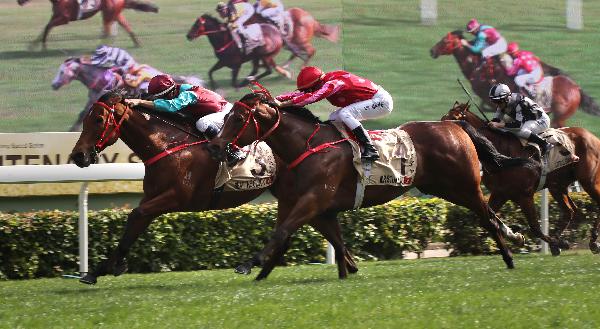 Mr Stunning has been runner-up in the past two editions of the G1 feature.