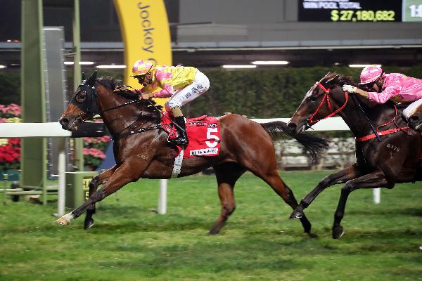 Highly Proactive is looking to secure back-to-back wins at the Valley.