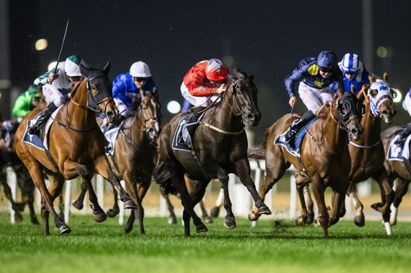 Meydan action
