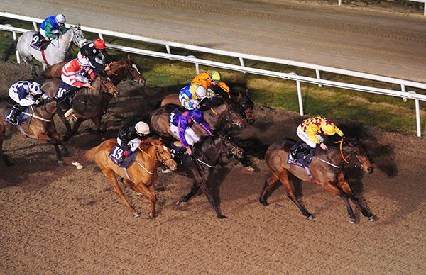 Everyhouronthehour leads