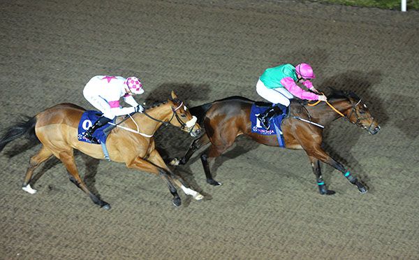 Abby Hatcher and Rory Cleary lead Orchid Gardens