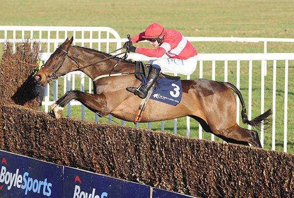 Real Steel winning at Thurles last month