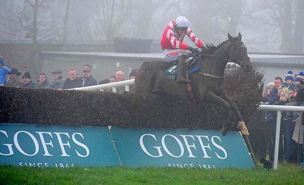 Total Recall and Danny Mullins