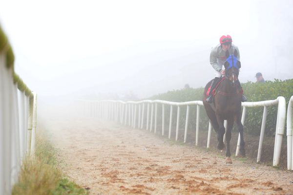 Gowran