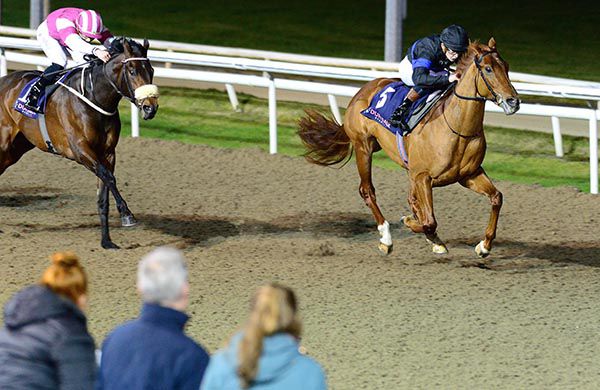 Never Before and Mikey Sheehy