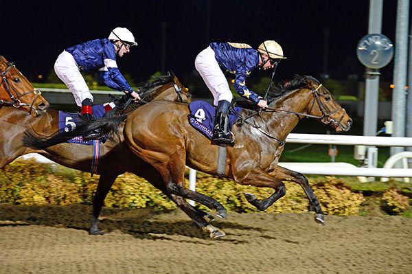 Demoted Kokura passes the post ahead of eventual winner Mr Mooj