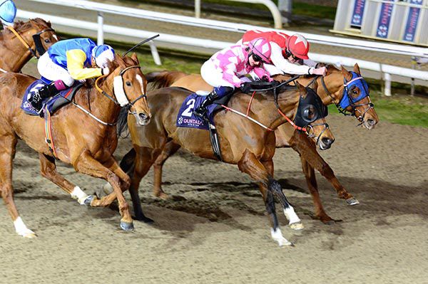 Siobhan (centre) winning in a driving finish at Dundalk earlier this year
