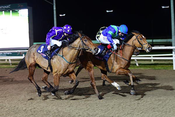 American Lady leads Healy's Double