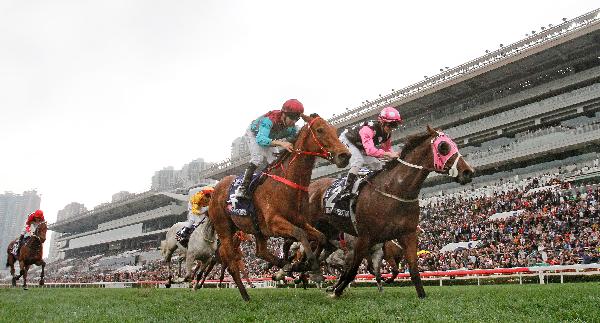 Beauty Generation and Beat The Clock have finished one-two in the last two editions.