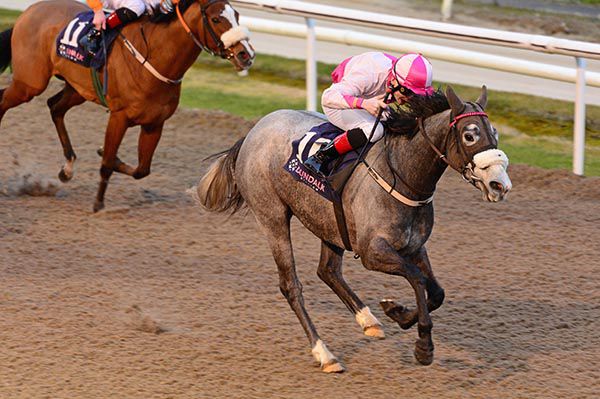 Zippity and Gavin Ryan