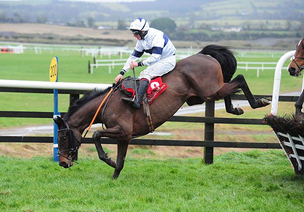 Foxy Jacks and Phillip Enright did well to survive this bad final flight mistake