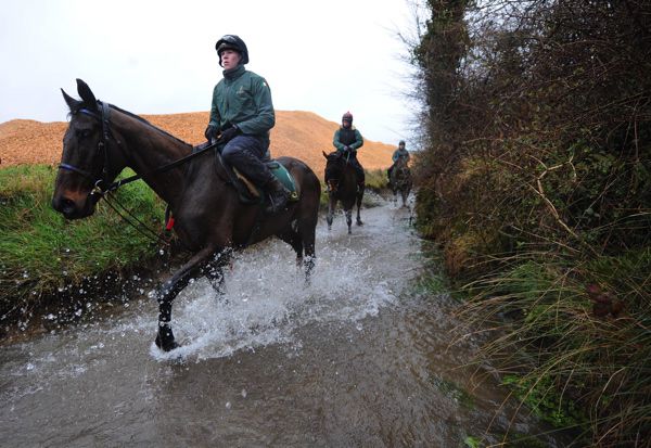 Al Boum Photo cooling down after a workout in Closutton