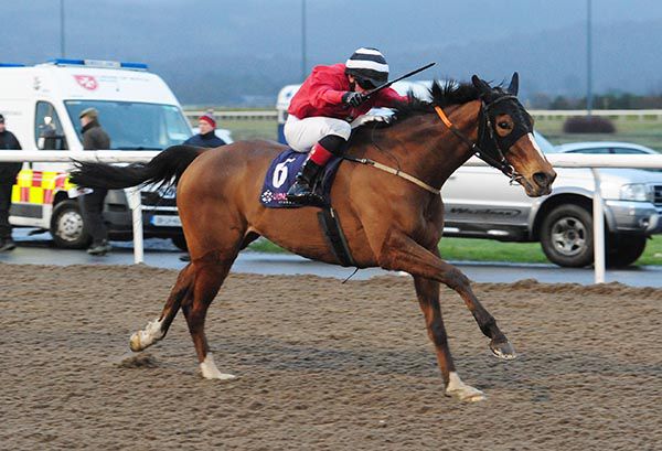 Tio Esteban and Willie Byrne