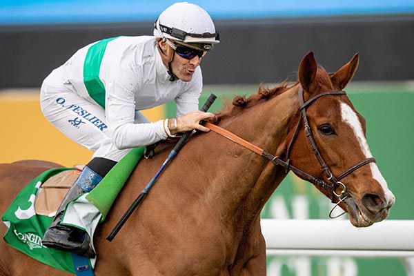            Call The Wind and Olivier Peslier 