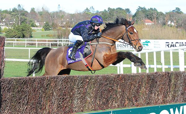 My Manekineko and Gavin Brouder