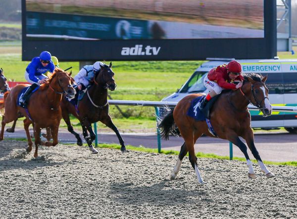 Malotru winning at Lingfield