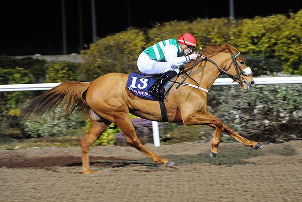 Plum Perfect and Ronan Whelan