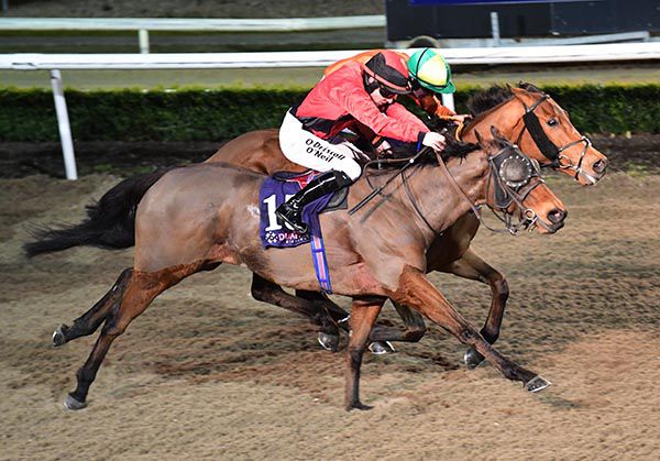 Lightning Charlie (Mark Enright, nearside) touches off Billyfairplay and Joey Sheridan