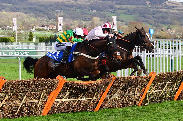 Dame De Compagnie (nearest) jumps the last upsides Black Tears