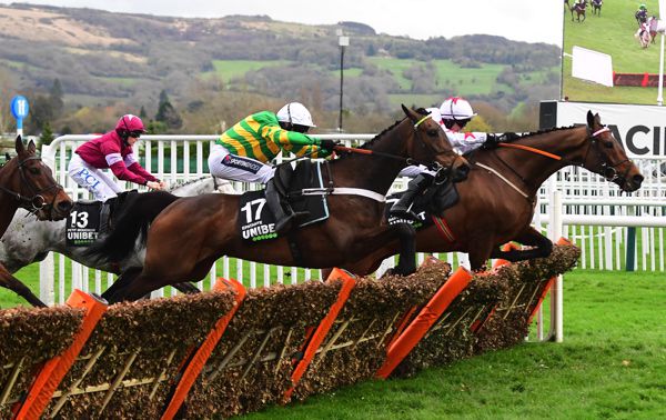 Darver Star (in front) could be back at Cheltenham for the Marsh Novices' Chase