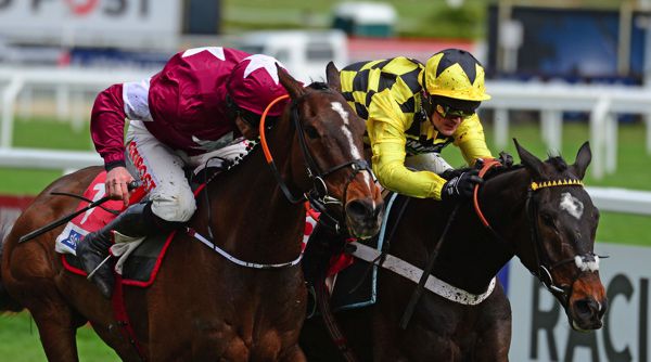 Shiskin (right) touches off Abracadabras in the Supreme Novices' Hurdle at Cheltenham
