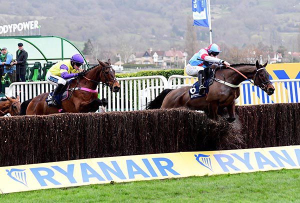 Simply The Betts (right) winning at Cheltenham in March
