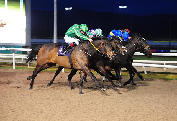 Stripped cap Wayne Lordan just prevailed on Lady Of Luxury at Dundalk