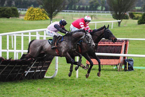 Lynwood Gold (nearside) and Blackbow in the air together at the last
