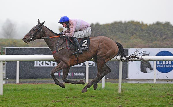 Delvino, seen here under Mark O'Hare, goes for Dermot McLoughlin at Fairyhouse today