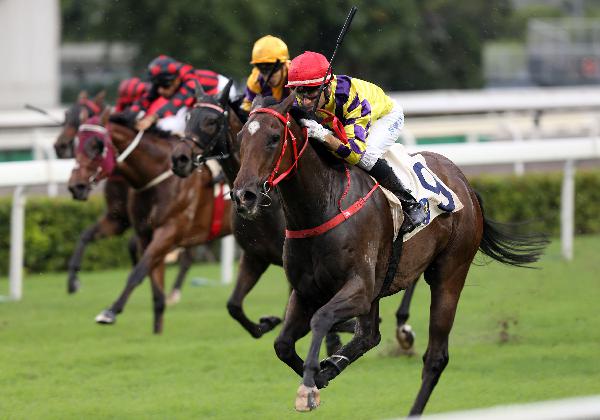 Champion&rsquo;s Way won five on the bounce last term.