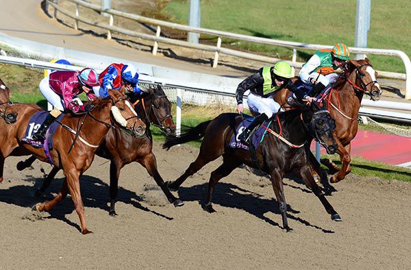 Getgo, dark colours, light green, wins under Gearoid Brouder