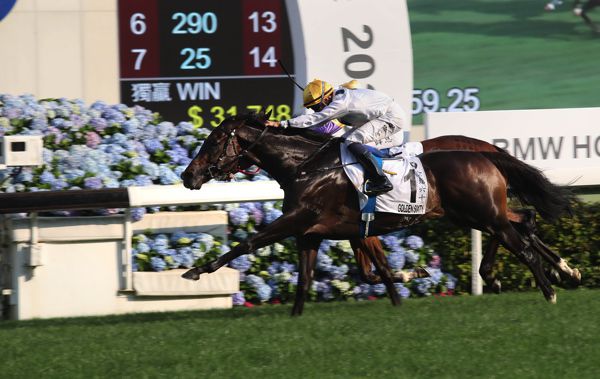 Golden Sixty winning the Hong Kong Derby last month