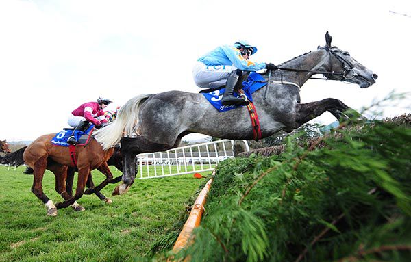Bachasson (grey) in action at Clonmel in March