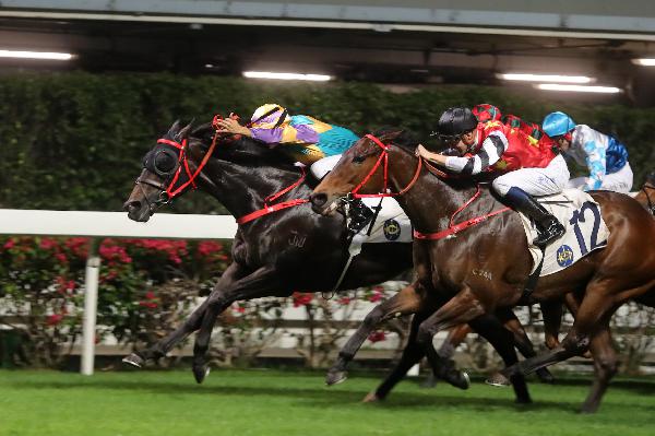 Van Niekerk inside drives Zero Hedge to victory 