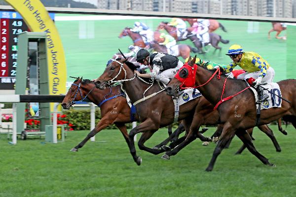 Transcendent (black cap) scores on debut under Zac Purton.