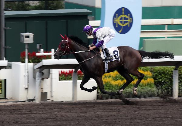 Buddies is looking to maintain his impressive record on the dirt this Wednesday.