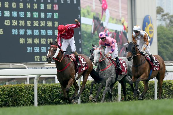 Karis Teetan punches the air as he wins on Mr Stunning