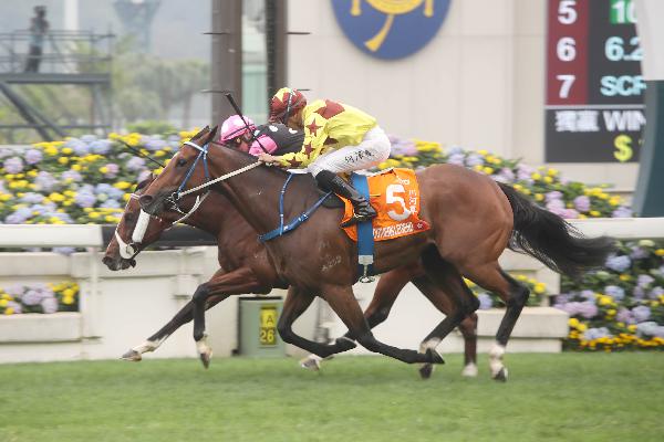 Southern Legend (No. 5) wins the G1 Champions Mile under Vincent Ho.