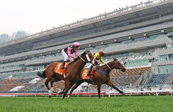 Beauty Generation (pink sleeves) is pipped at the post in his bid for third win in the race