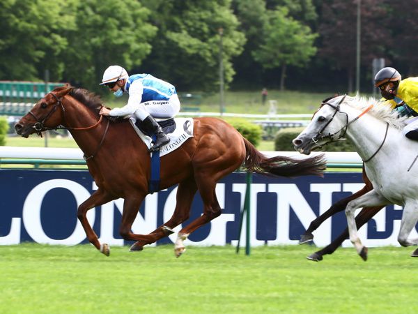 Shaman won the Classic trial last year for the same owners